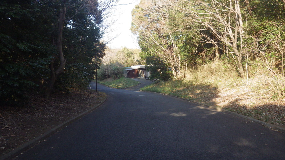 事務職員のお仕事 駅伝編③.jpg