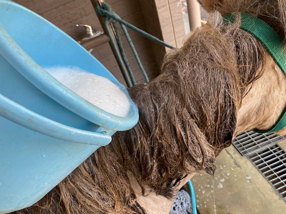 ぱかぱか 手洗い6.jpg