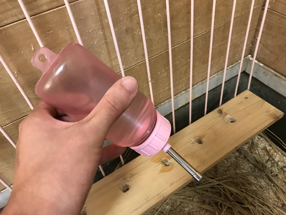 ぱかぱか2018こまめに水分補給を3.jpg