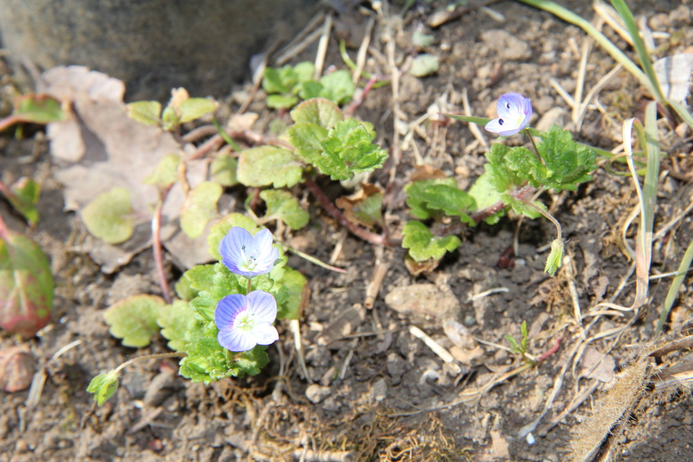 IMG_7167 - コピー.jpg