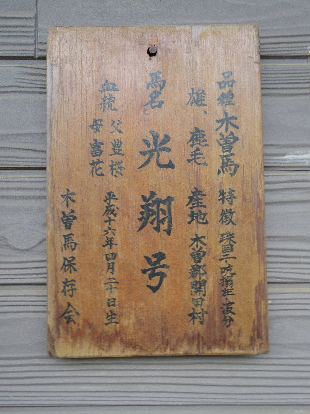 光翔旋毛20161010. (1).jpg