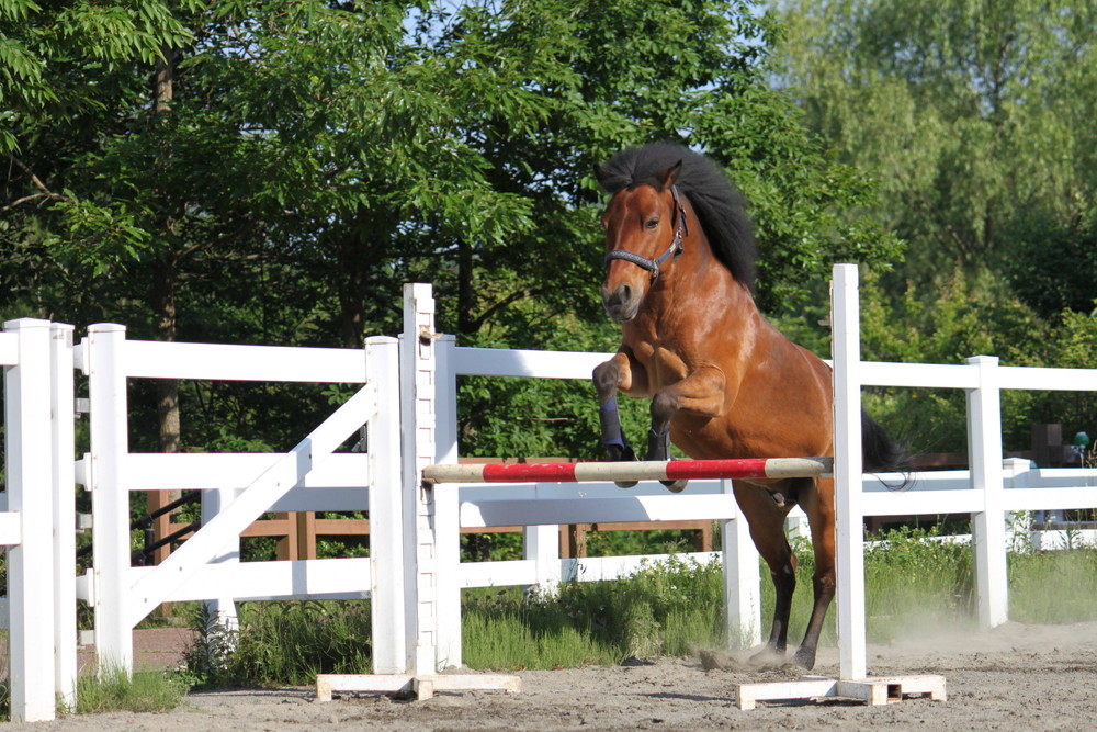 ぱかぱか広場のブログ20160820オリンピック2 (1).jpg