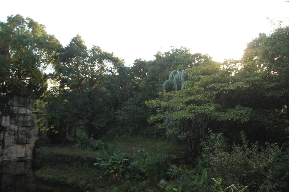 IMG_0006.jpg