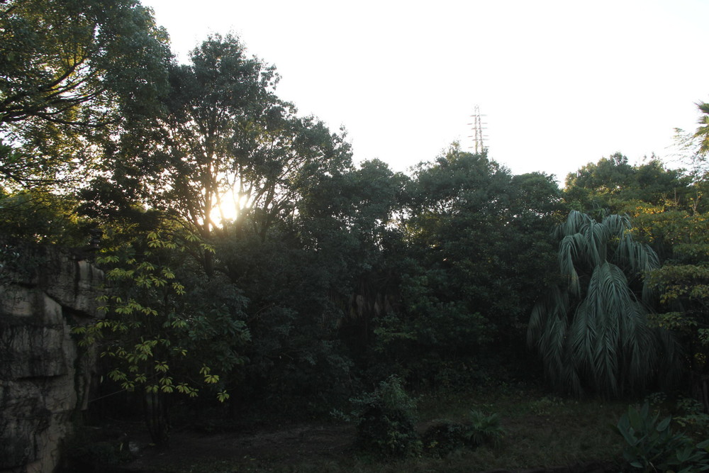 IMG_0008.jpg