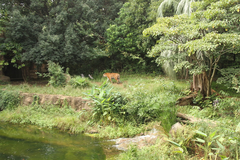 IMG_6692.jpg
