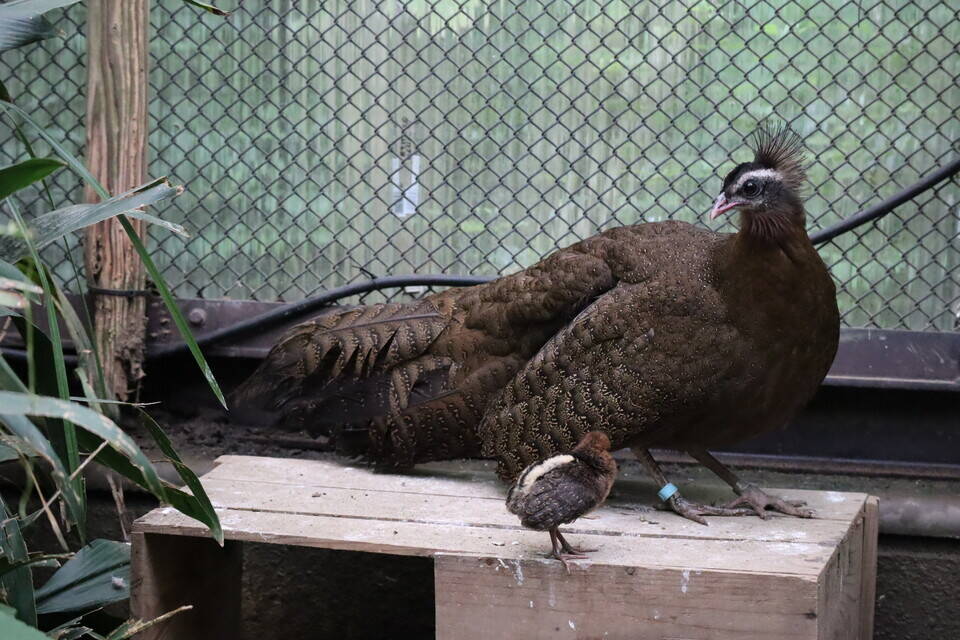 【飼育日誌】20200917：成長記5 (13).jpg