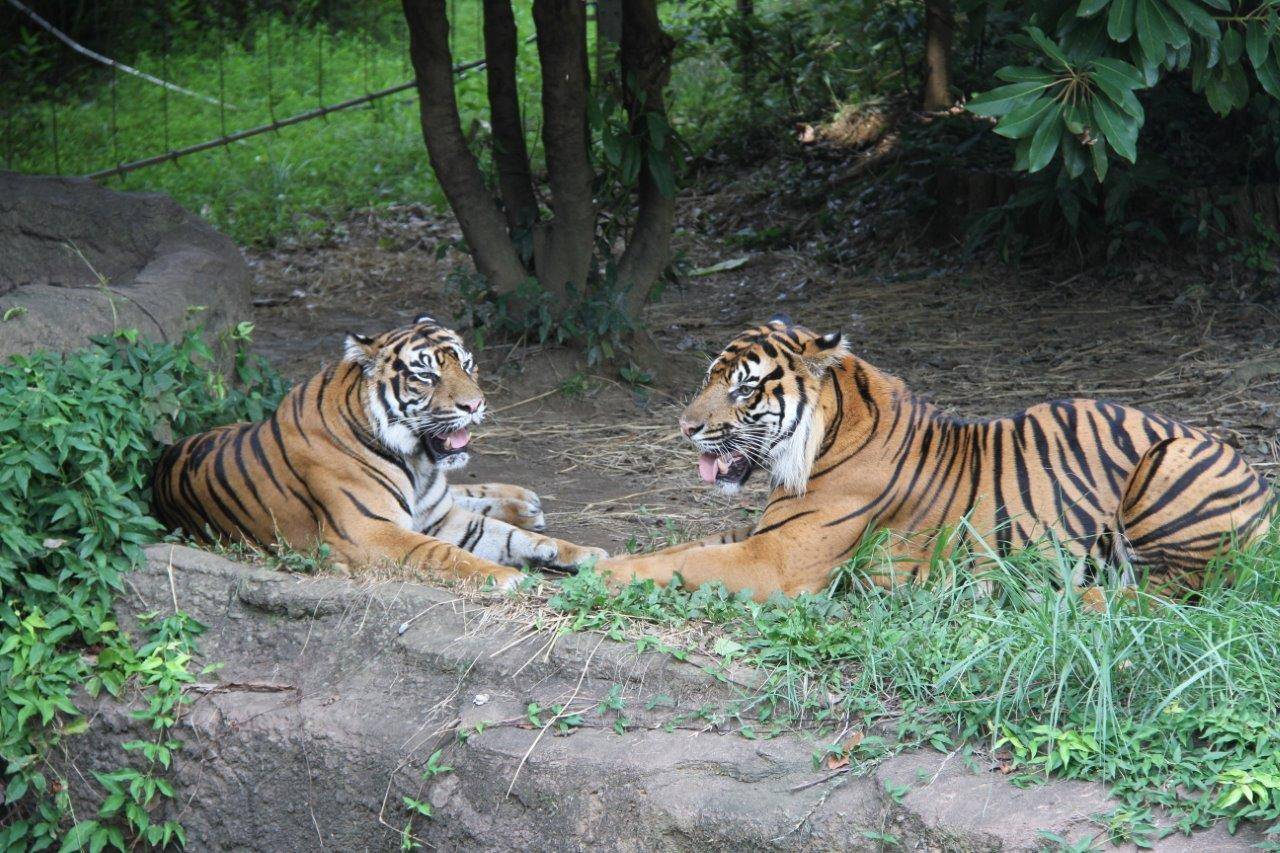 展示場で休む、ガンターとデル。