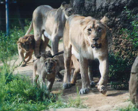 05family2000Aug (2).png