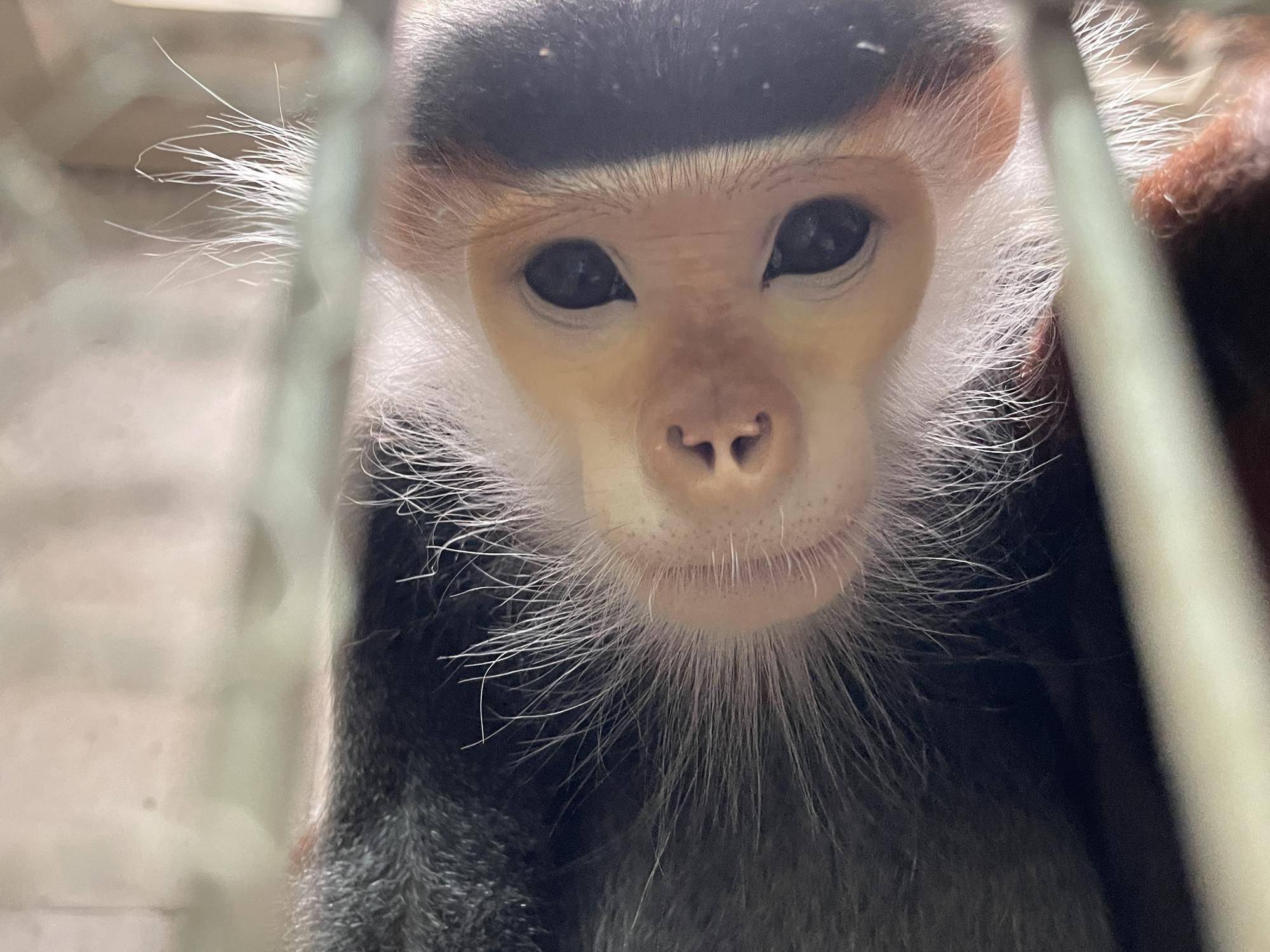 【飼育日誌】20220802：マニプクの思い出 (4).jpg