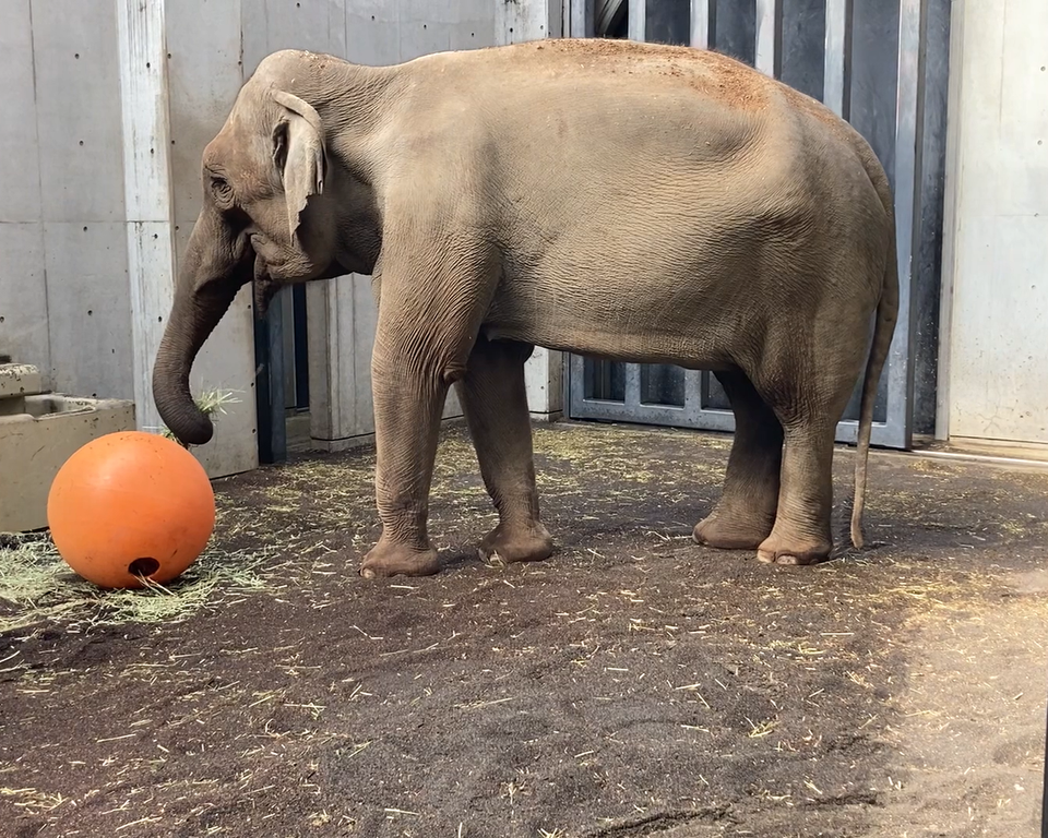 スクリーンショット (4).png