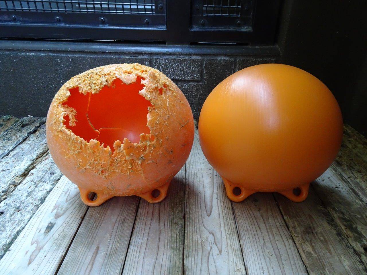 新旧のフロート