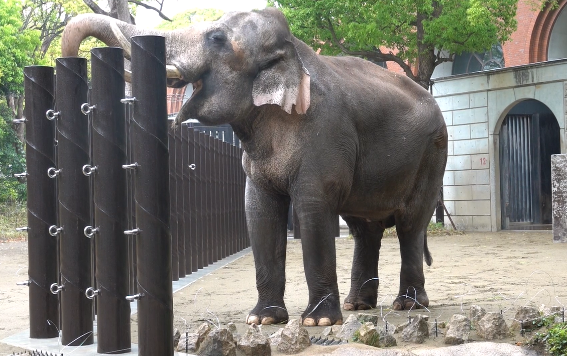 スクリーンショット (19).png