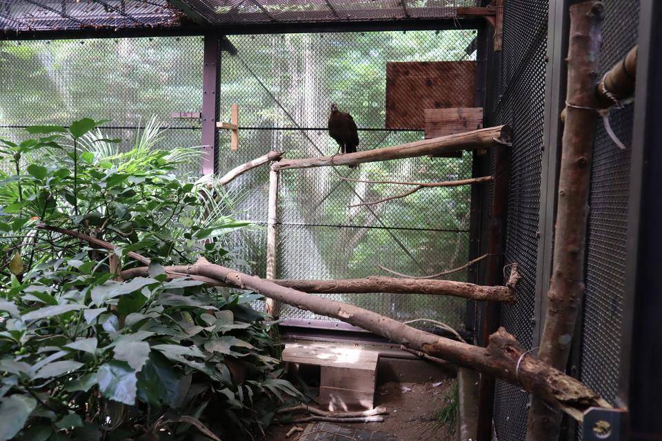 【飼育日誌】20210405:成長記10 (13).jpg