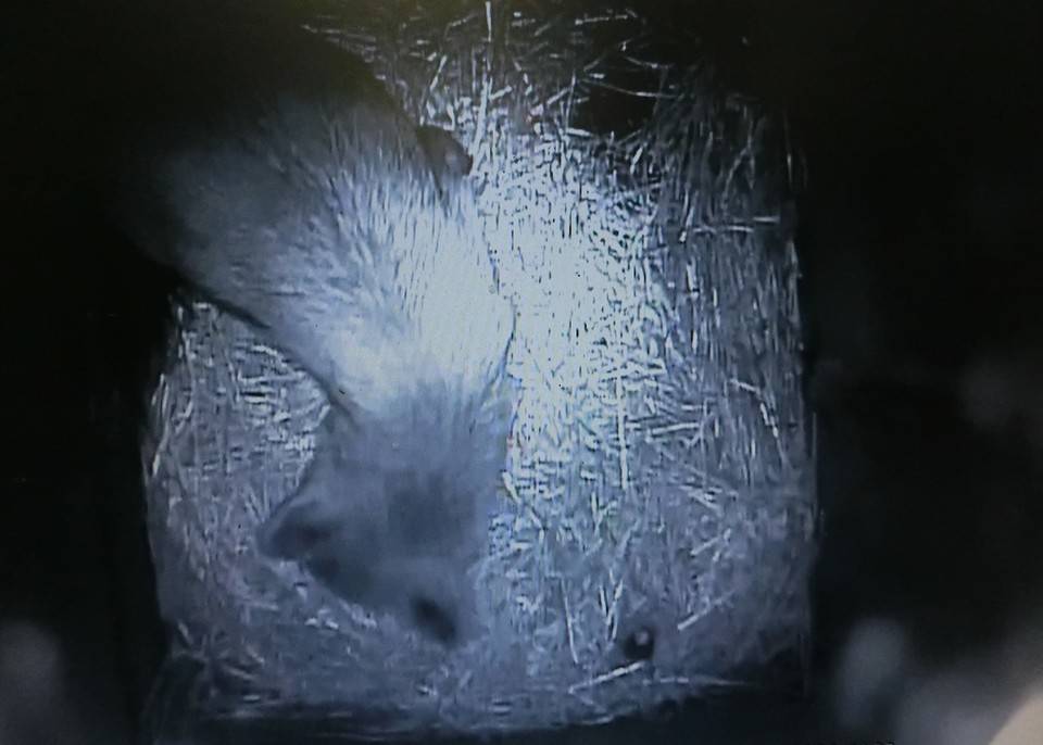 バースデー (18).jpg