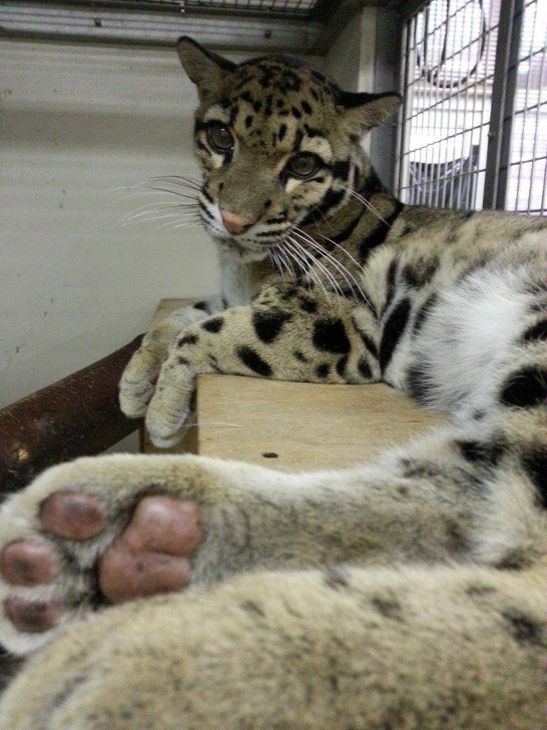 約7年前のアニル