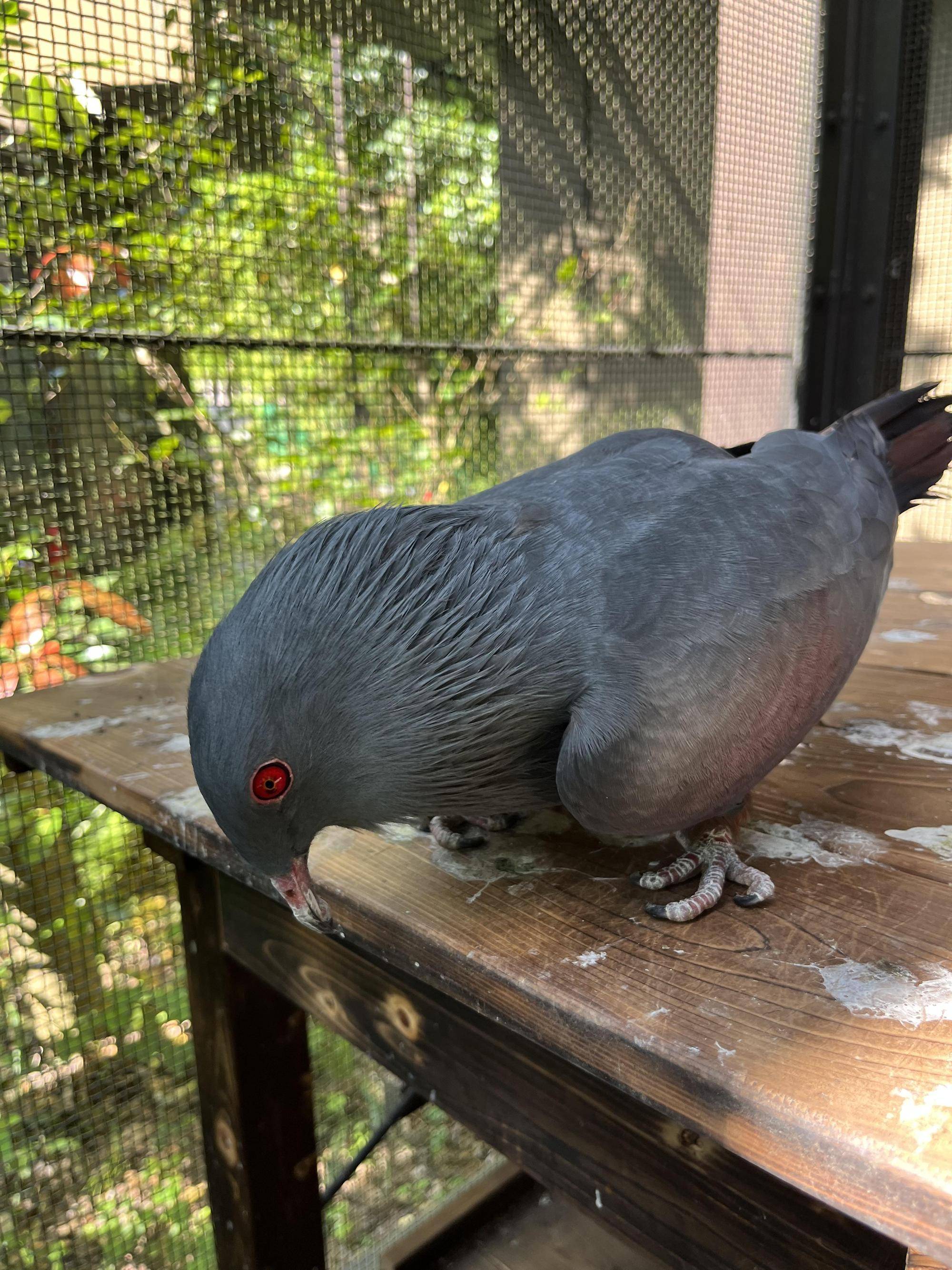 ディスプレイ (3).jpg