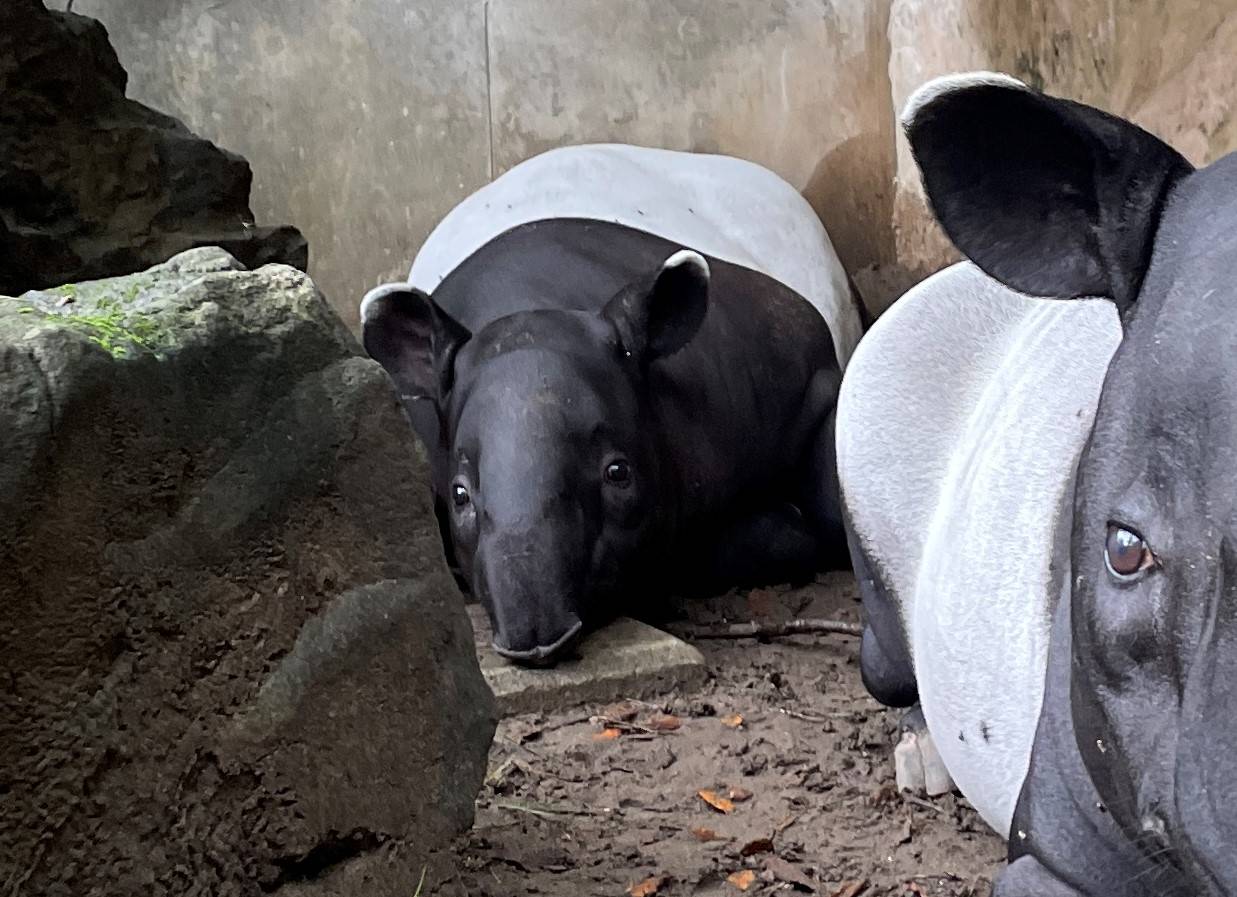 4もちもち - コピー.jpg