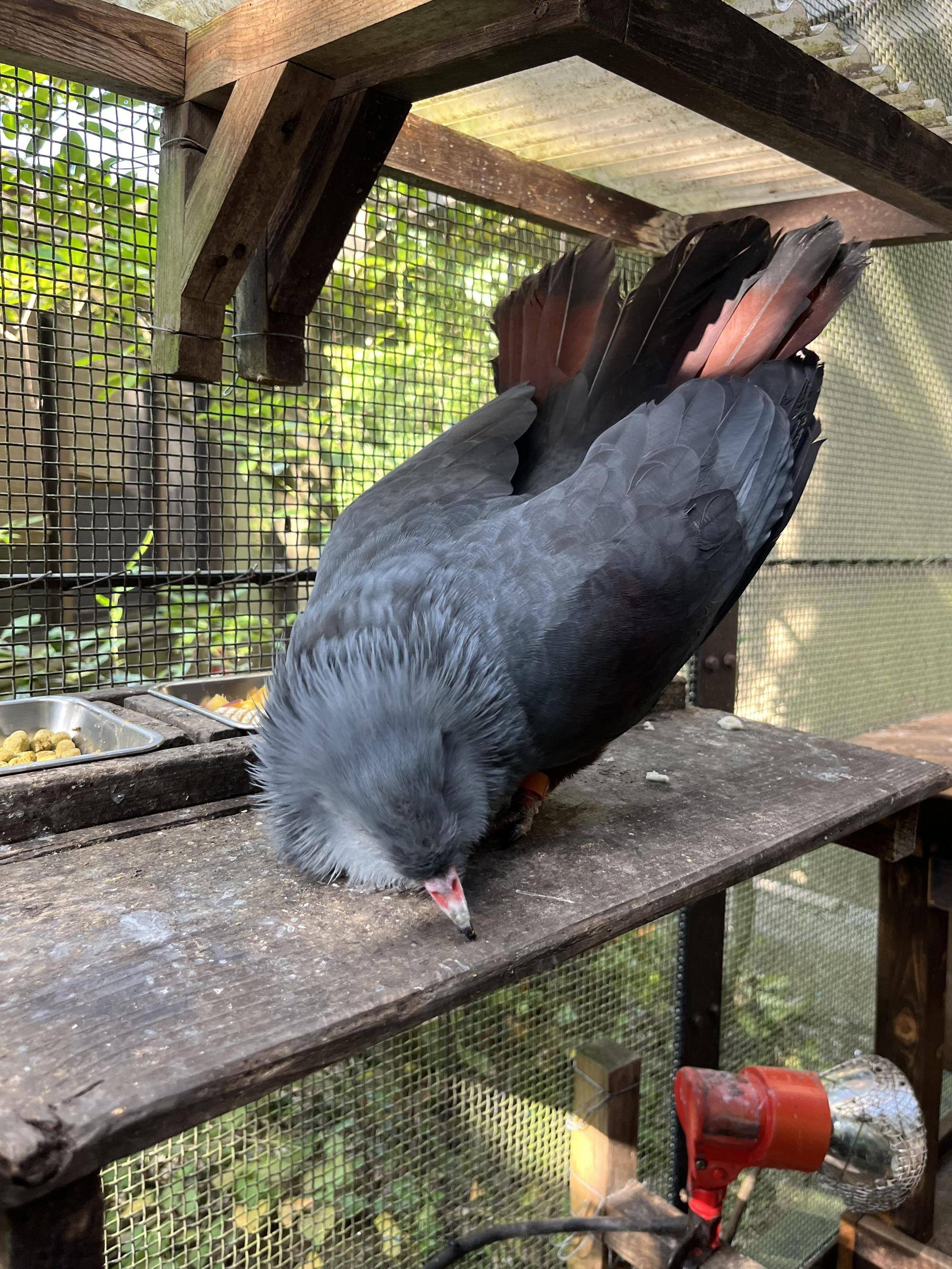 ディスプレイ (4).jpg