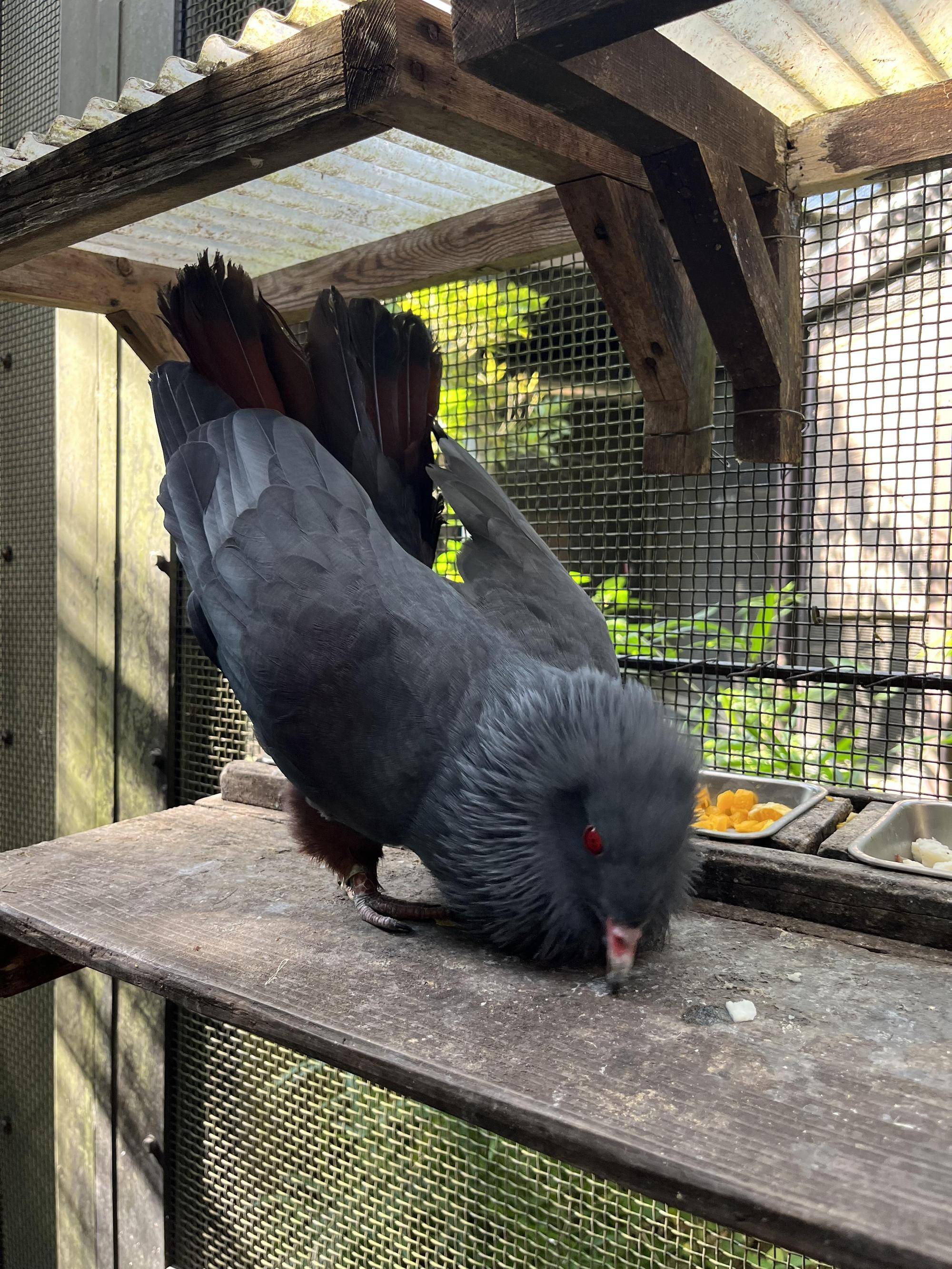 ディスプレイ (5).jpg