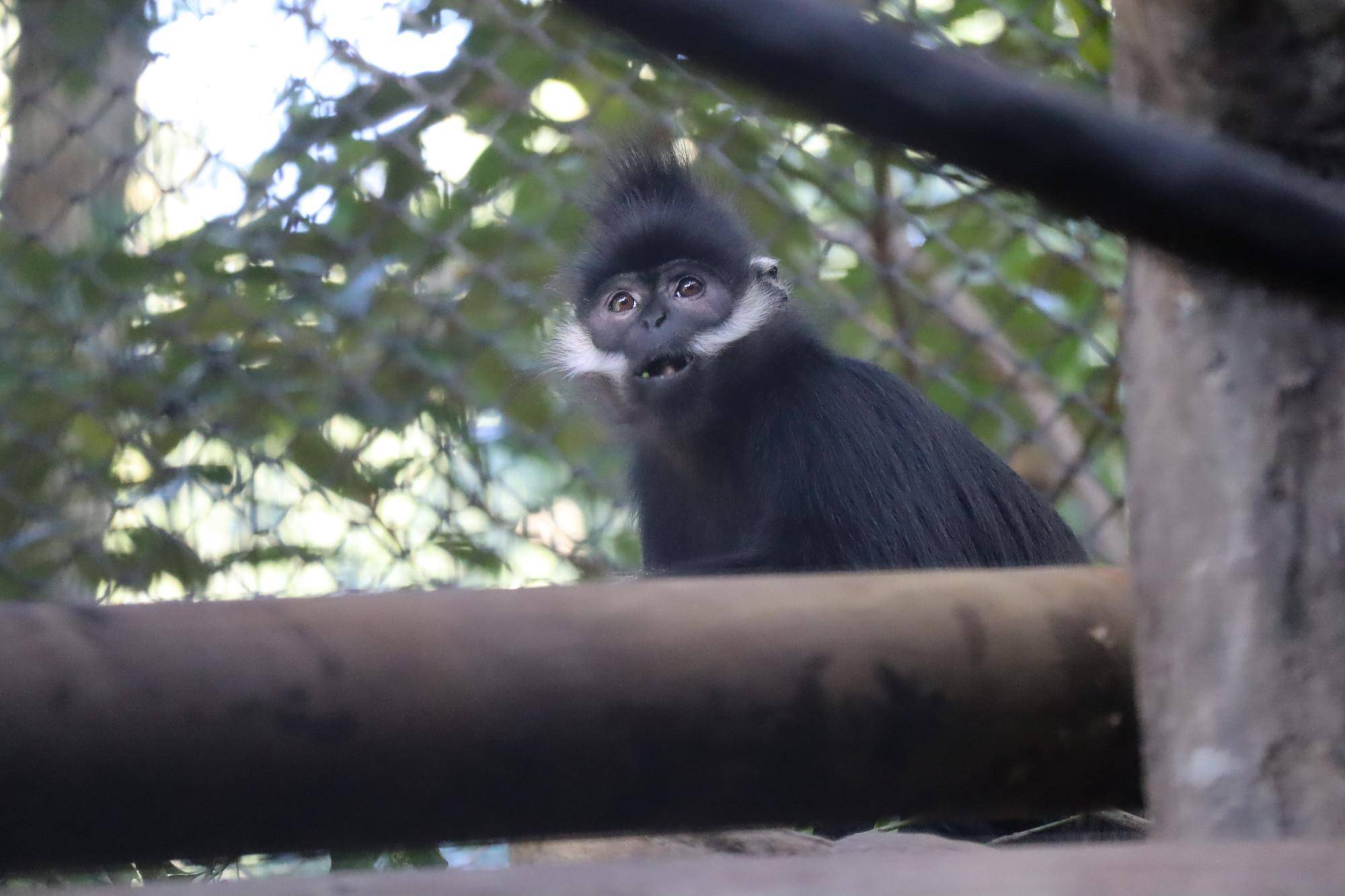 【飼育日誌】20221222：ライム元気でね (16).jpg