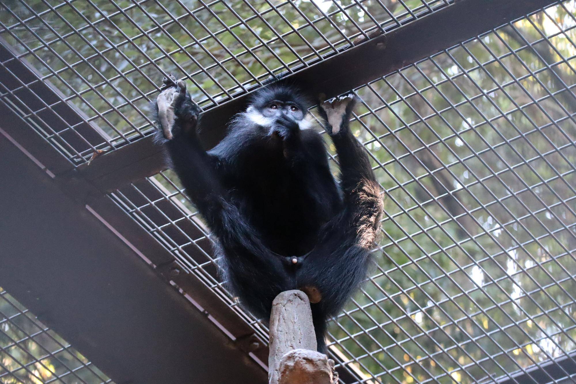 【飼育日誌】20221222：ライム元気でね (17).jpg