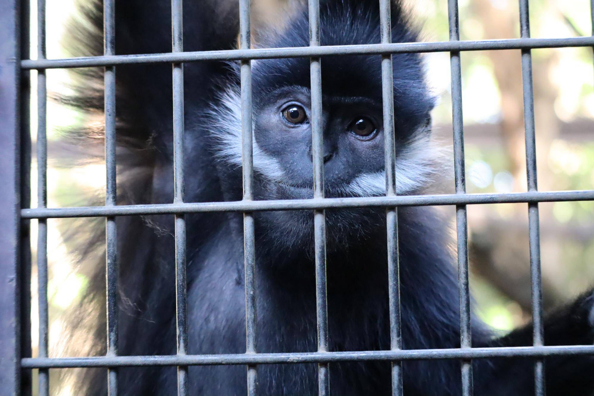 【飼育日誌】20221222：ライム元気でね (4).jpg