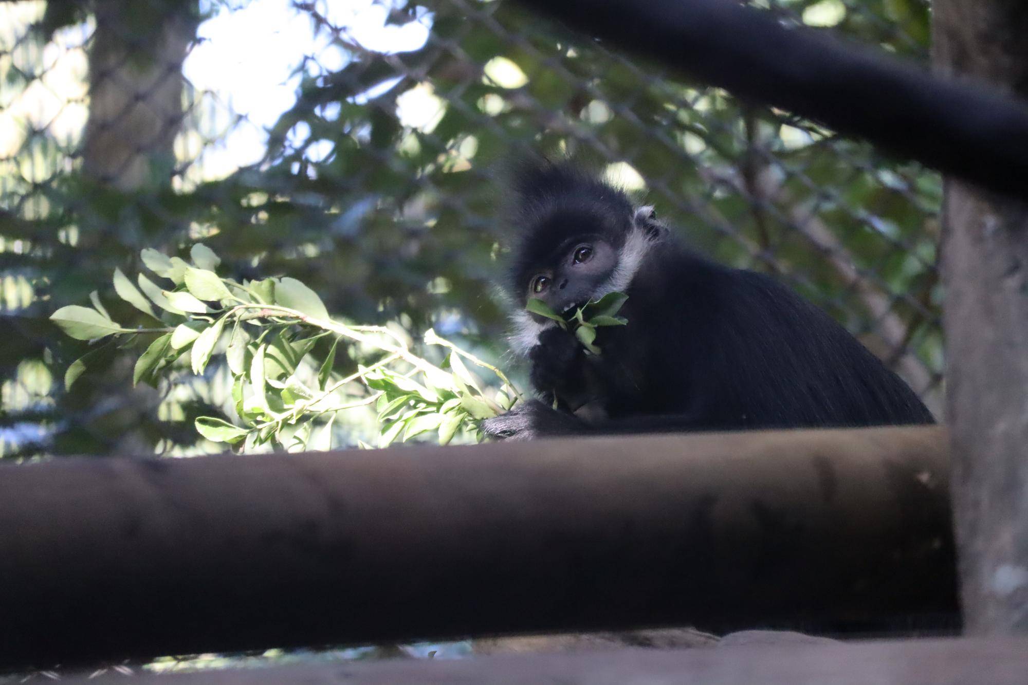 【飼育日誌】20221222：ライム元気でね (3).jpg