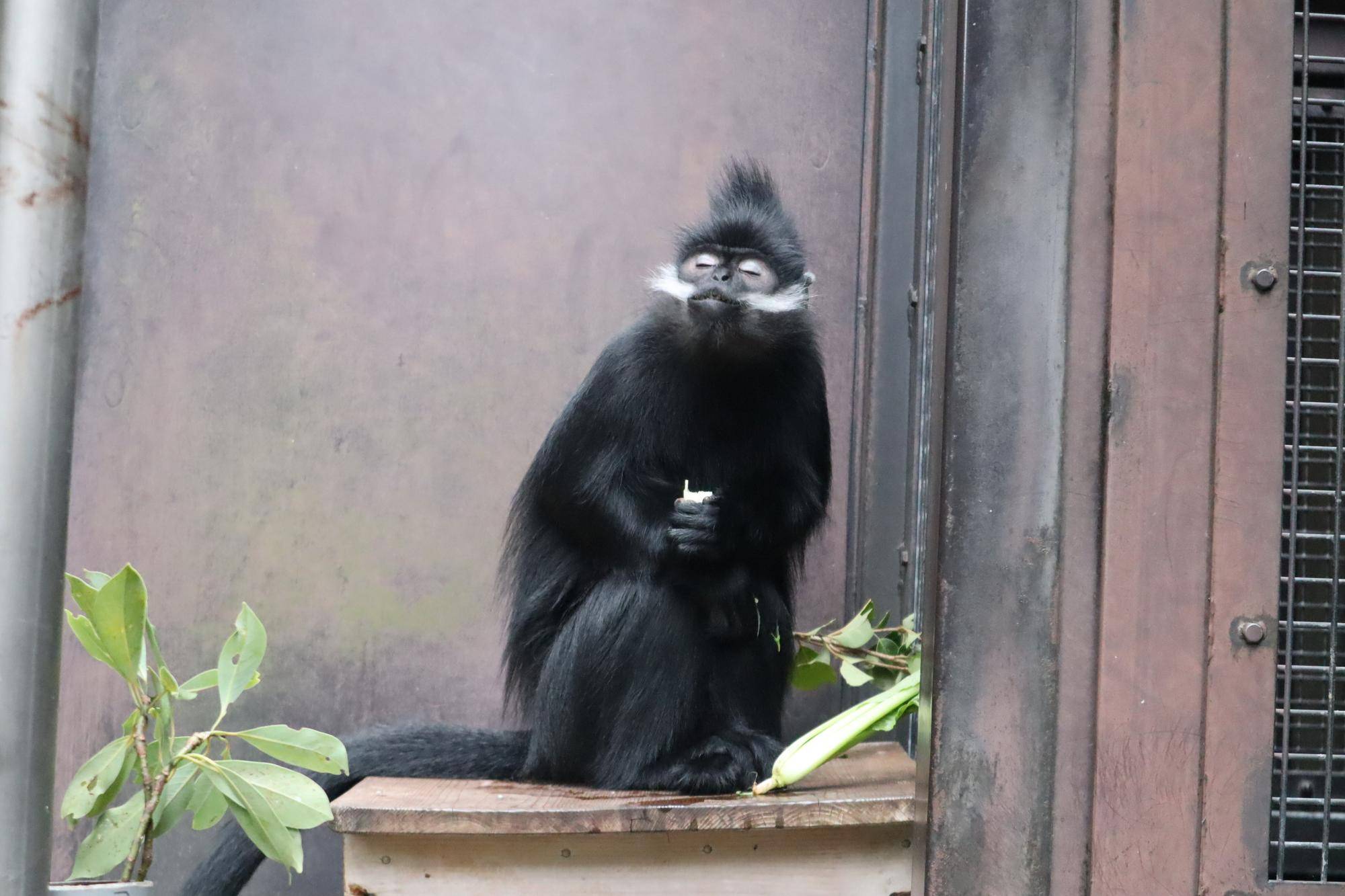 【飼育日誌】20221222：ライム元気でね (20).jpg