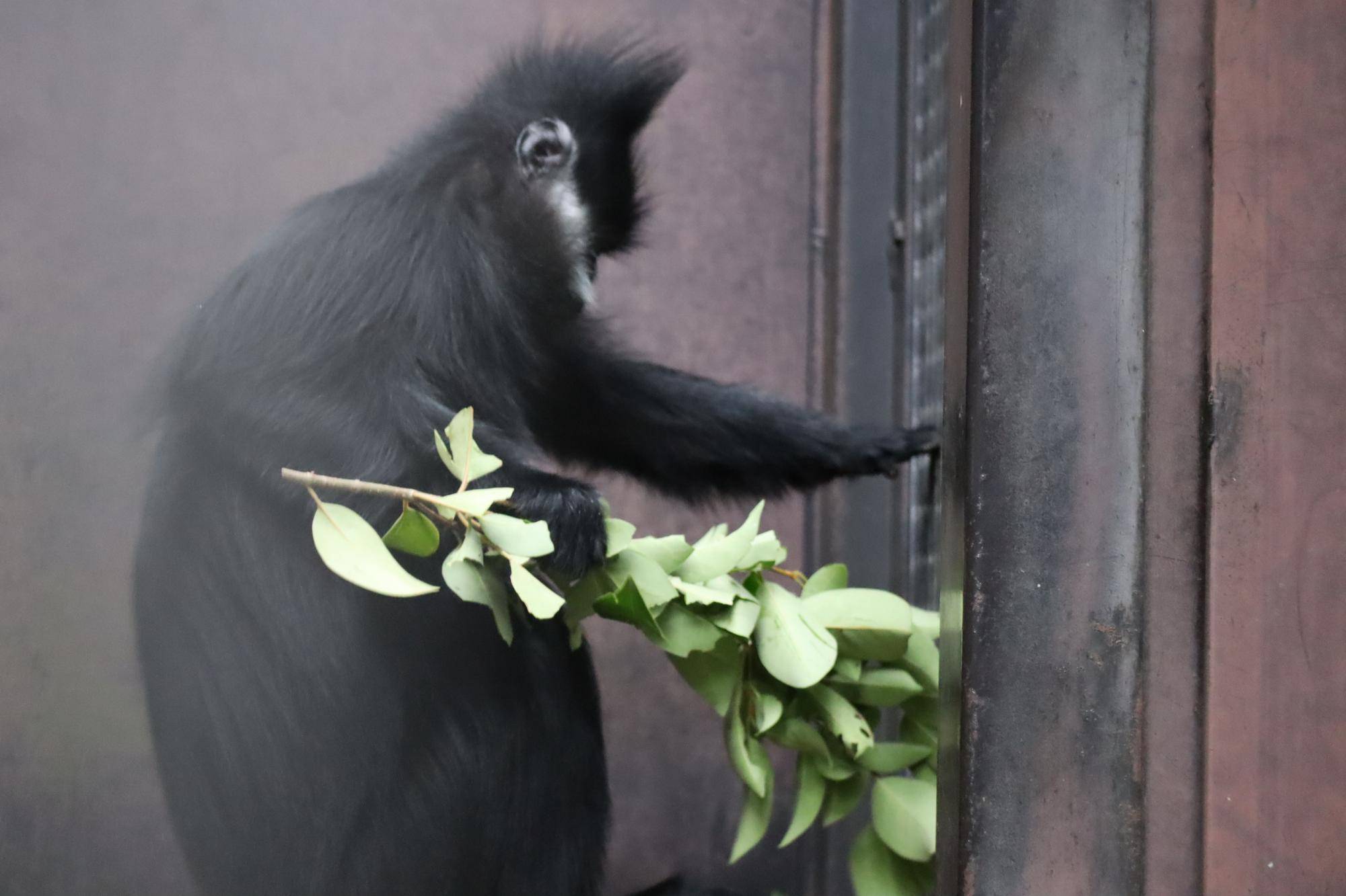 【飼育日誌】20221222：ライム元気でね (12).jpg