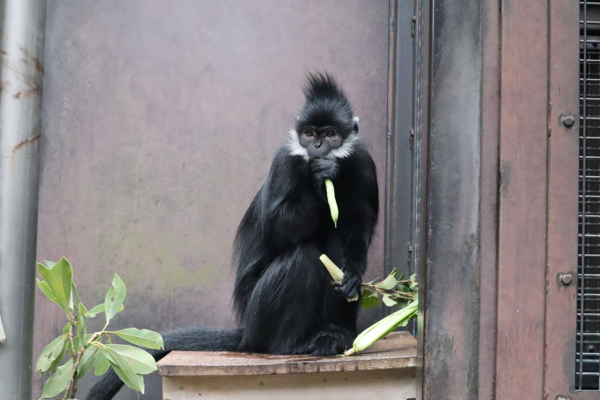 【飼育日誌】20221222：ライム元気でね (10).jpg