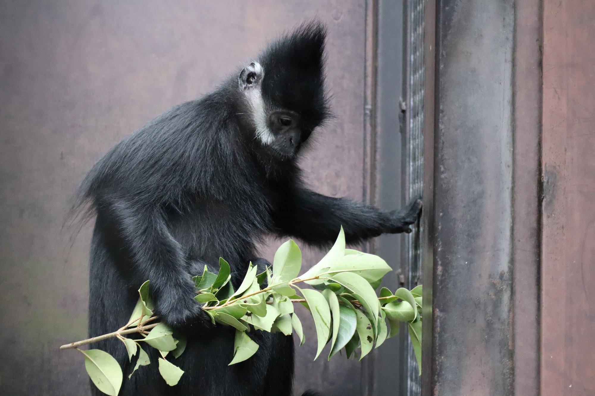 【飼育日誌】20221222：ライム元気でね (13).jpg