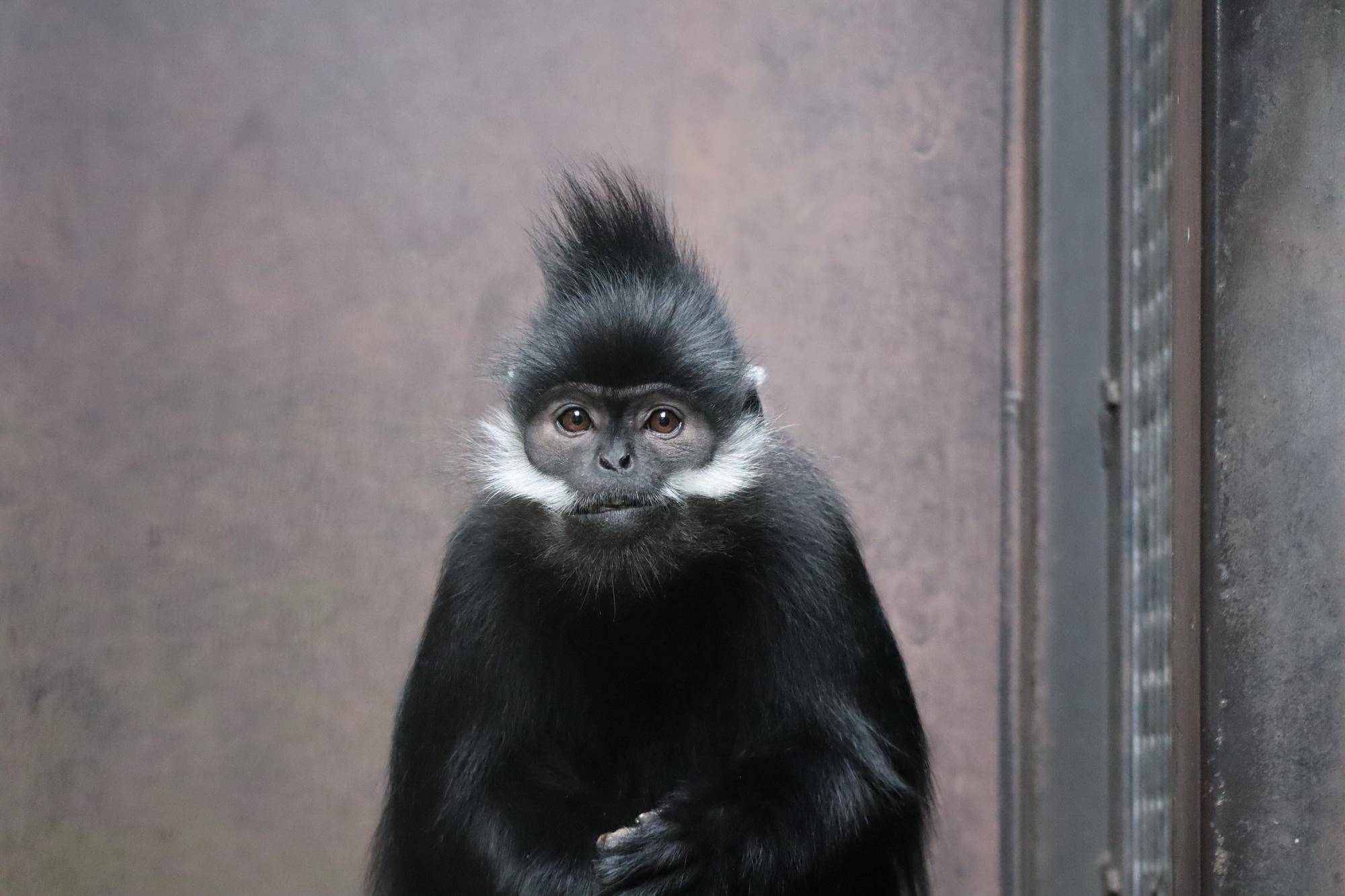 【飼育日誌】20221222：ライム元気でね (2).jpg