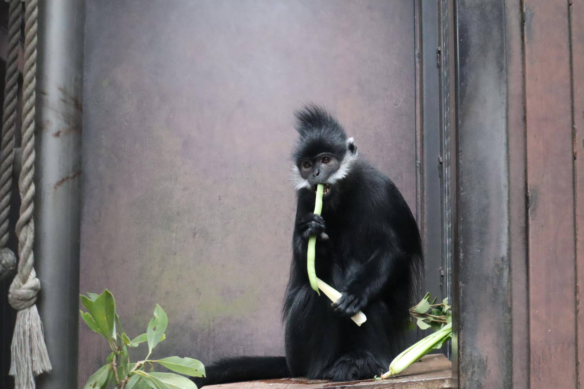 【飼育日誌】20221222：ライム元気でね (9).jpg