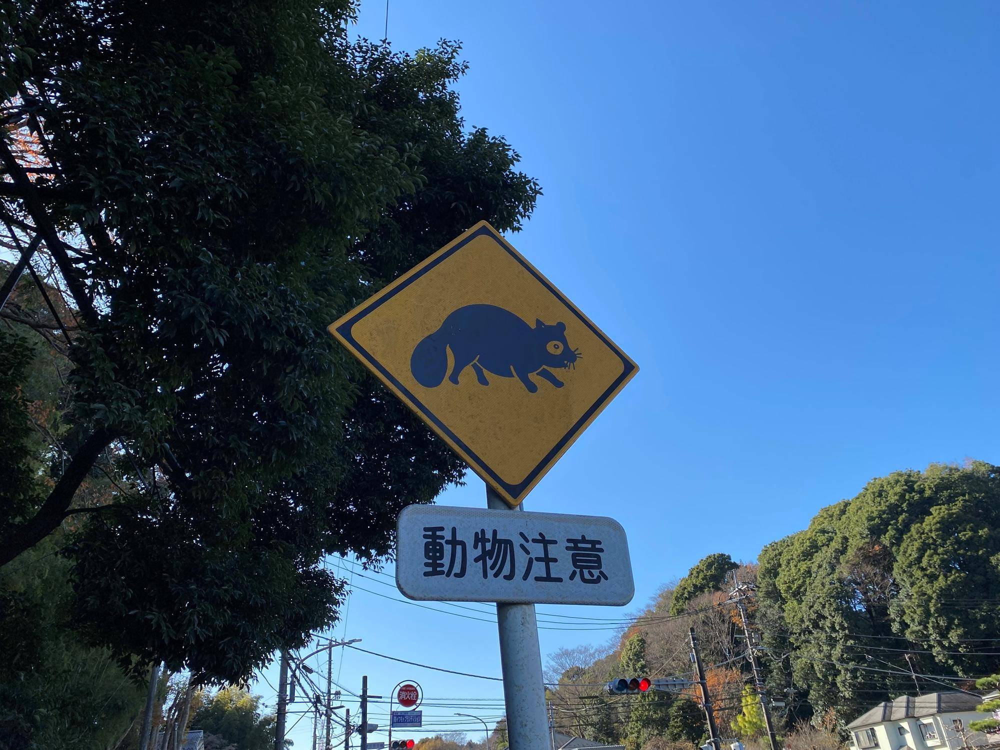 近くから見た動物注意看板.jpg