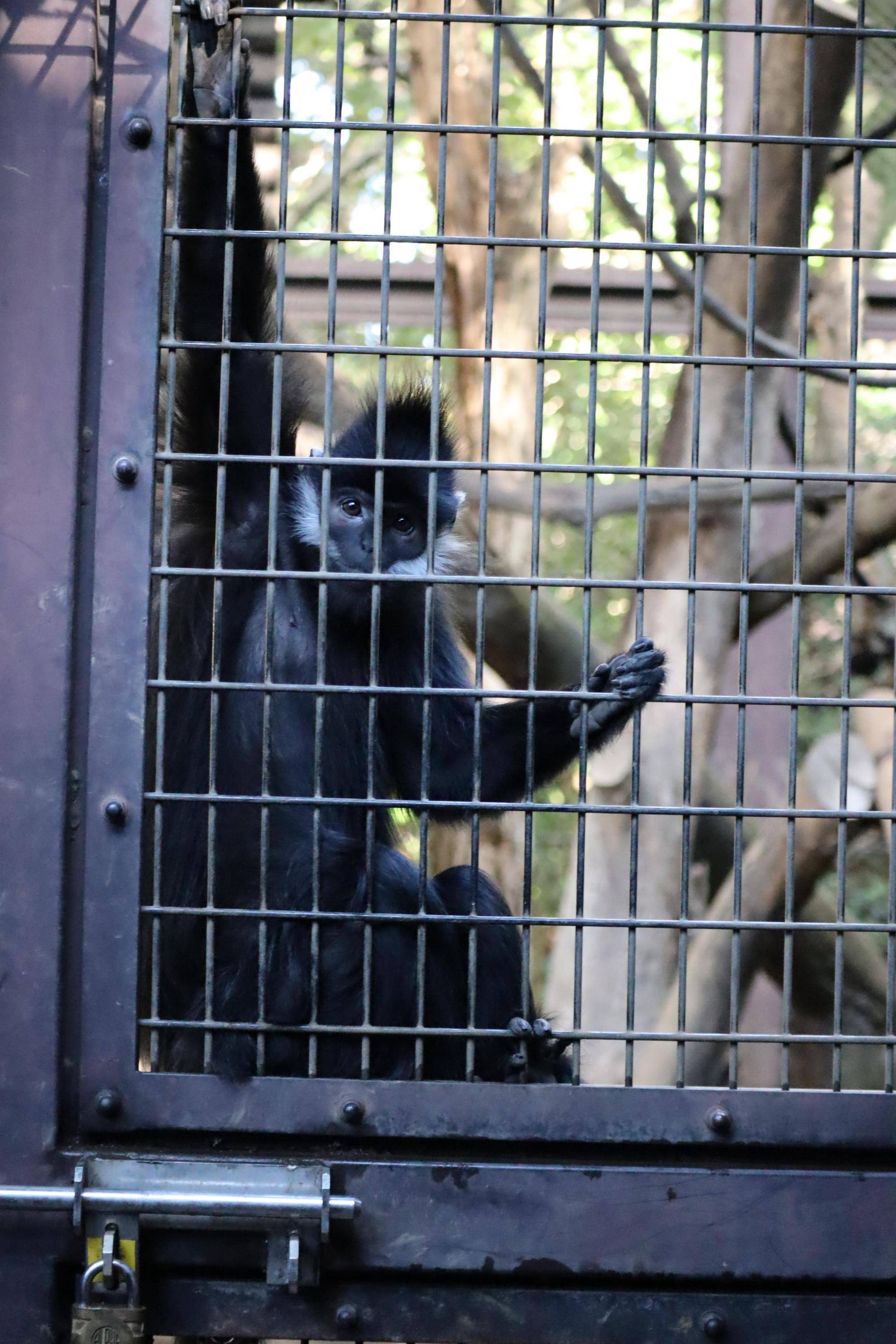 【飼育日誌】20221222：ライム元気でね (15).jpg