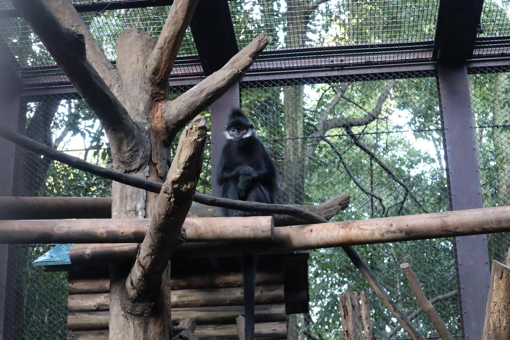 【飼育日誌】20221222：ライム元気でね (21).jpg