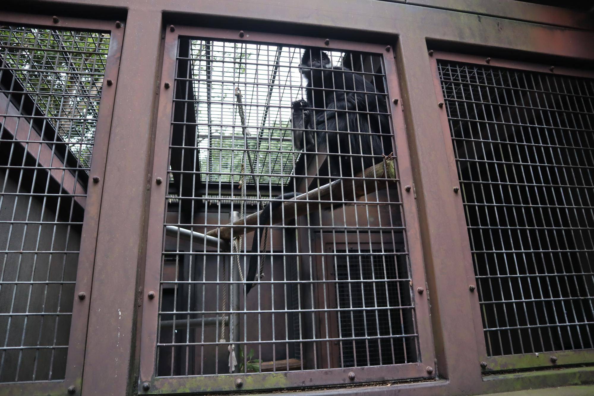 【飼育日誌】20221222：ライム元気でね (8).jpg