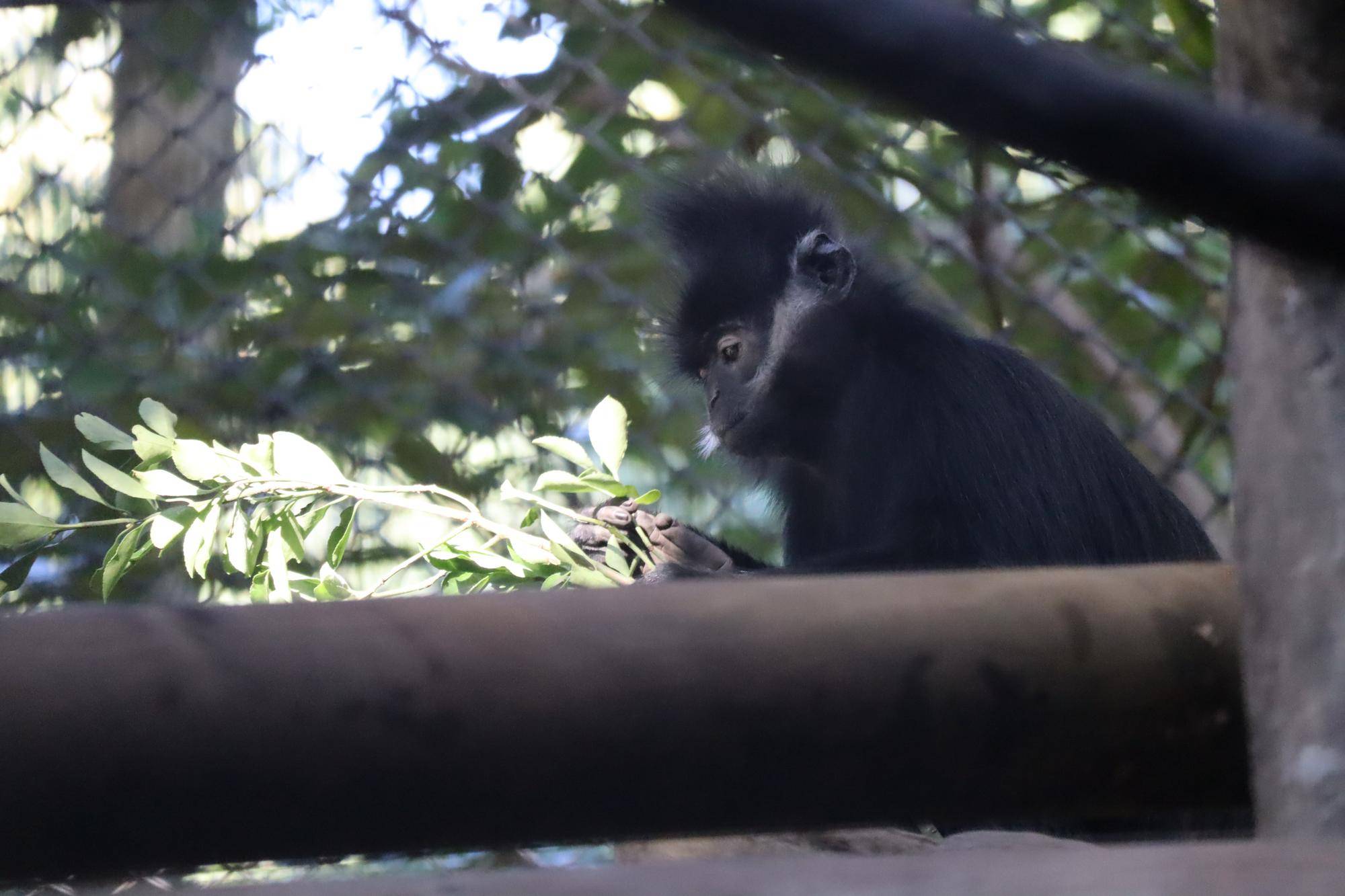 【飼育日誌】20221222：ライム元気でね (22).jpg