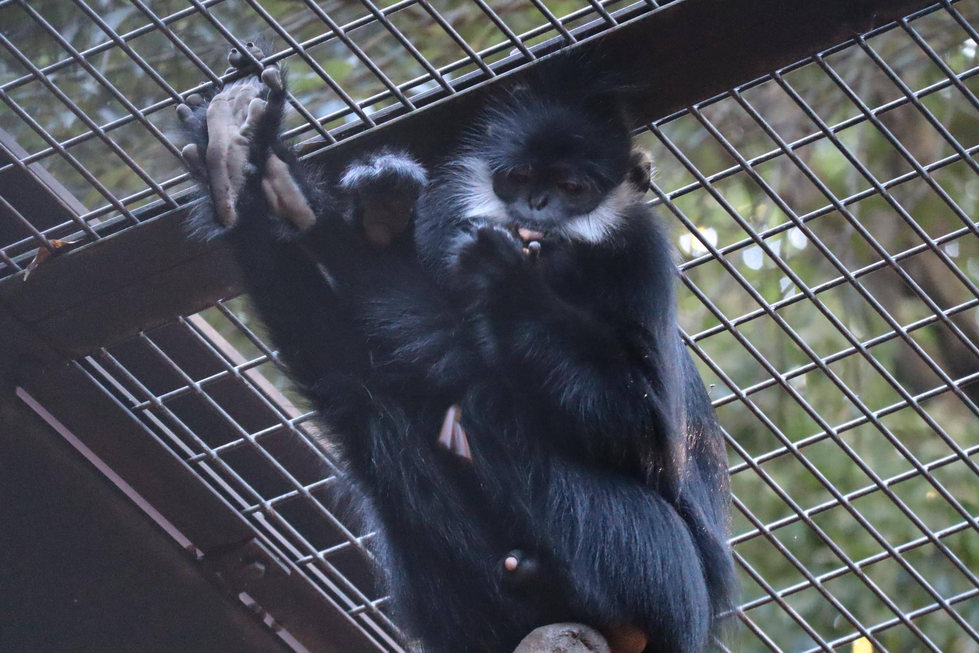 【飼育日誌】20221222：ライム元気でね (18).jpg