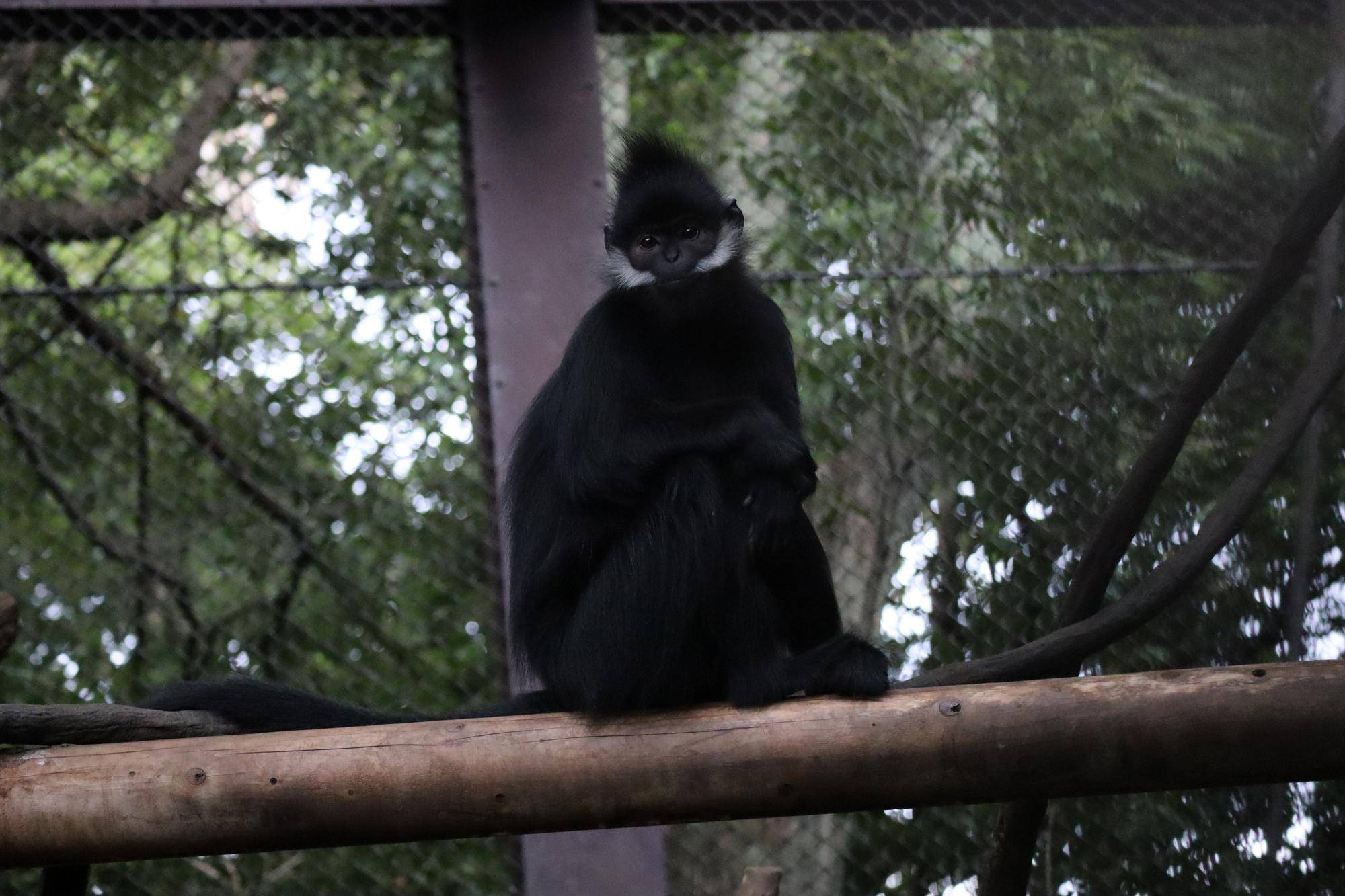 【飼育日誌】20221222：ライム元気でね (5).jpg