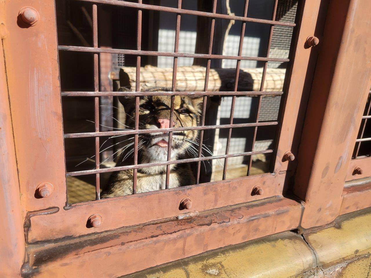 呼ばれて寄って来たブー