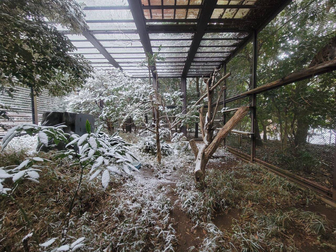 ウンピョウの檻の内部