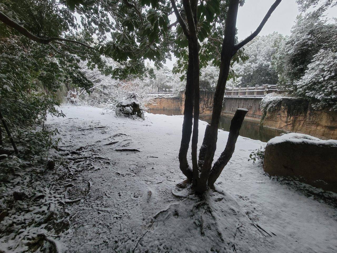 ガンターを収容した後の展示場