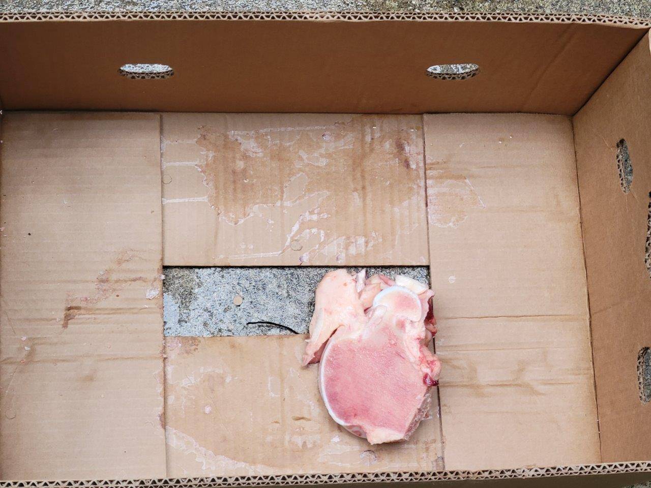 段ボール箱に入れられた骨