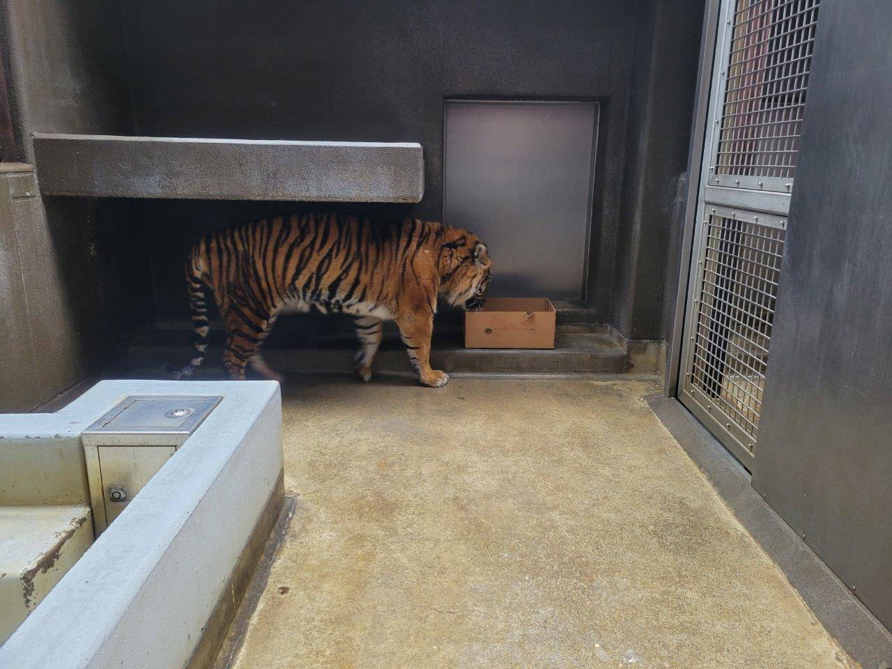 寝室の出入り口前に段ボール箱を移動させたガンター