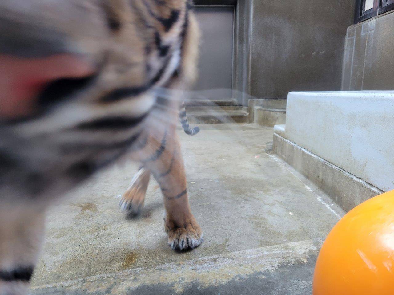 フロートより撮影者が気になるムジュ