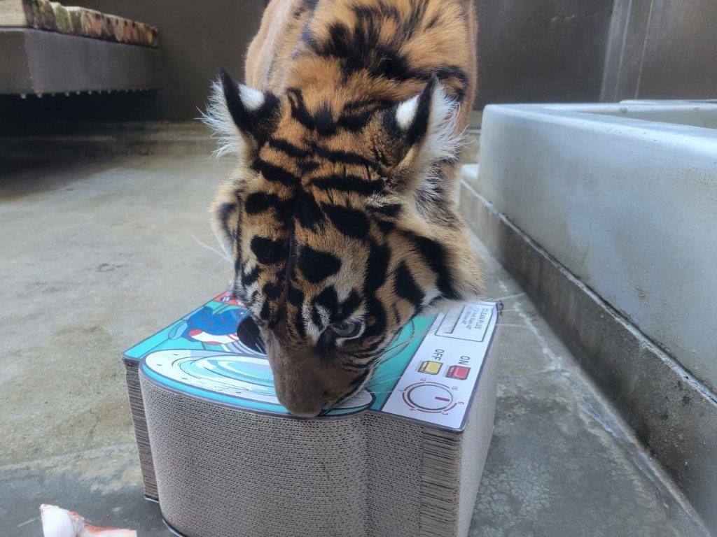 遊具に襲い掛かるムジュ