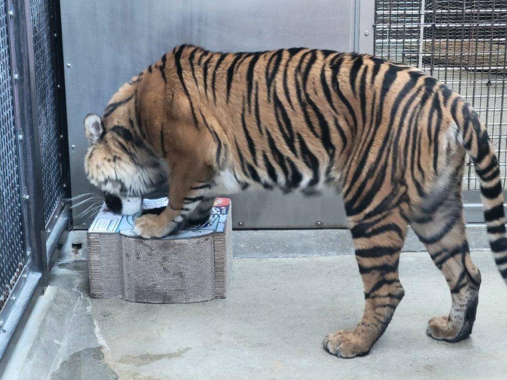 遊具に襲い掛かるムジュ①