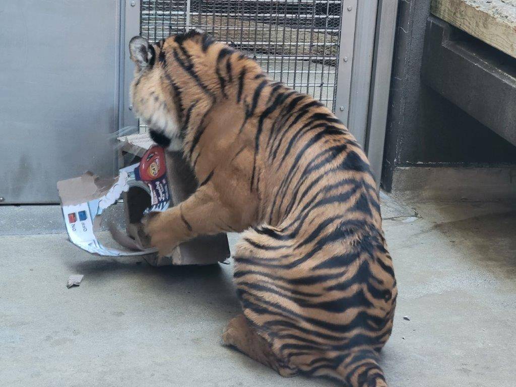 ムジュの攻撃によりボロボロになり始めた遊具