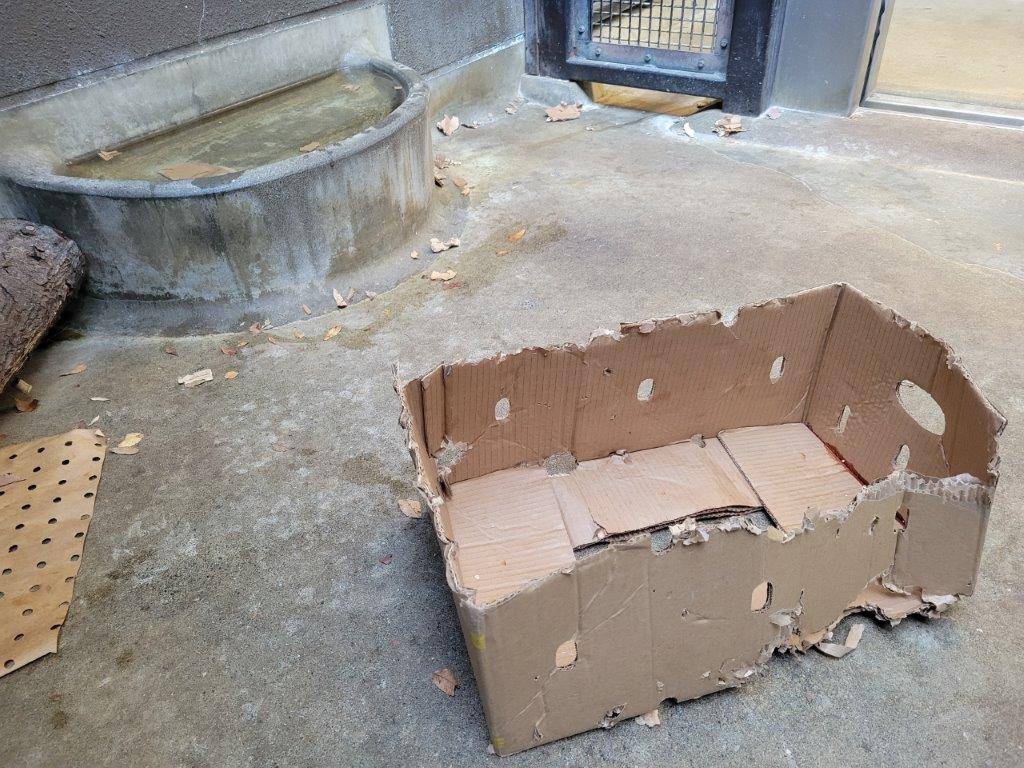 ボロボロになった段ボール
